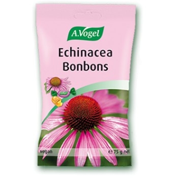 Echinacea bonboni 75