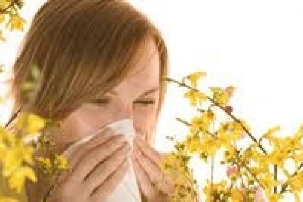 Alergije in alergijski rinitis