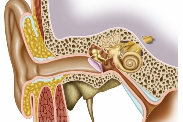 Štirje načini, kako naravno poskrbeti za »zračnost« srednjega ušesa
