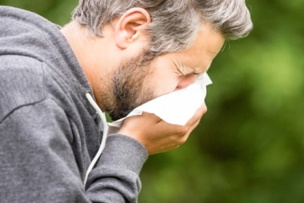 Vas muči sinuzitis ali alergija?