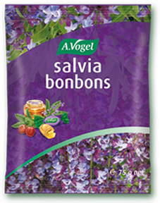 Slika izdelka Salvia bonboni