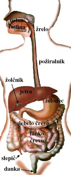 Zolcni-kamni1-2012